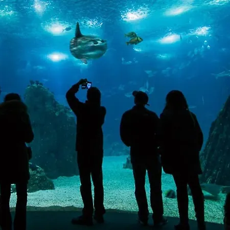 Sun River View Balcony Apartamento