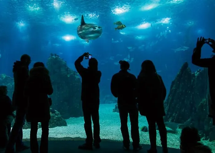 Sun River View Balcony شقة